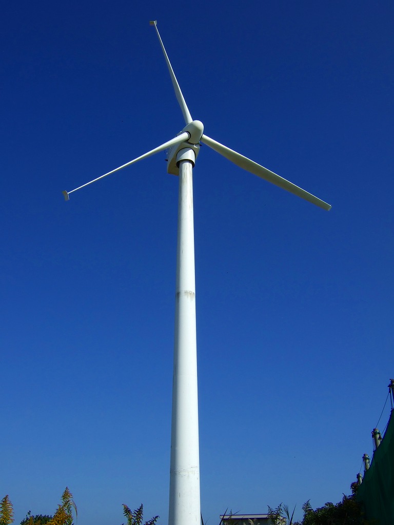 (三重大学キャンパス内にあった風力発電です) (三重大学キャンパス内にあった風力発電です)