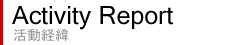 Activity Report