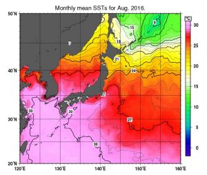 出典：気象庁 月平均海面水温（2016年8月）